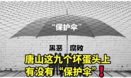 唐山大人爆料新闻最新消息,大人爆料揭示惊人内幕